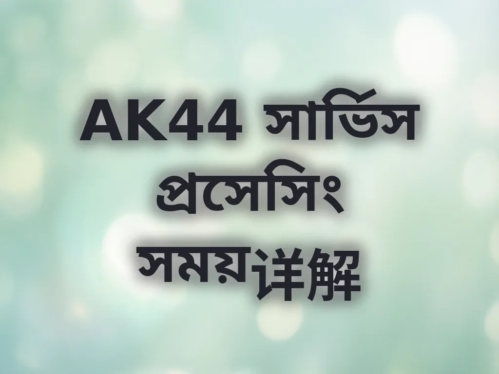 AK44 সার্ভিস প্রসেসিং সময়详解